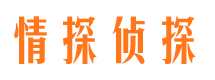 平远情探私家侦探公司